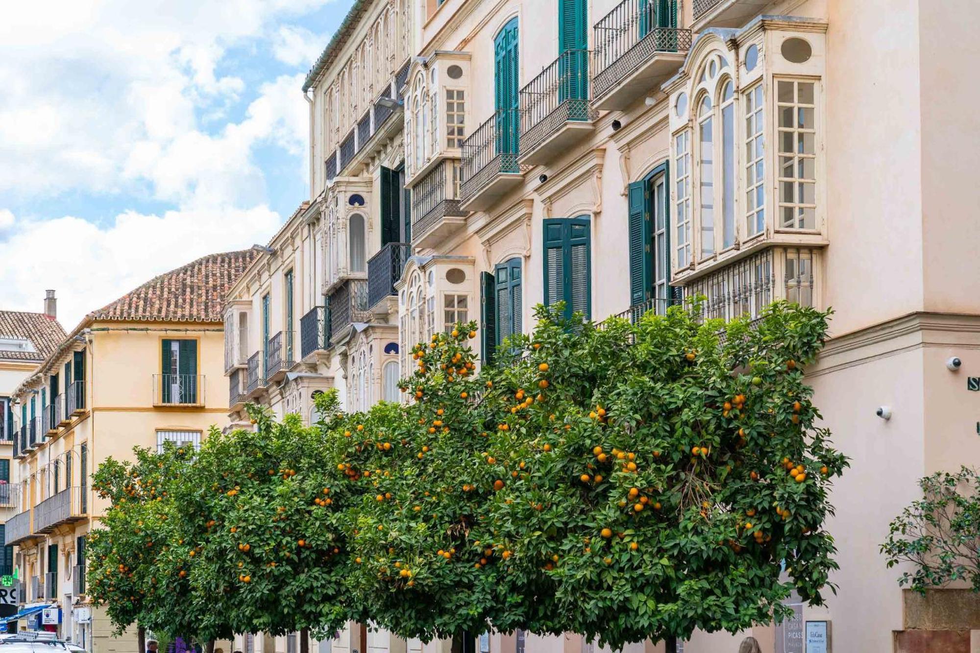 Limehome Malaga Calle Victoria Екстериор снимка